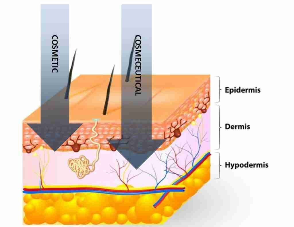 Cosmeceutical v Costmetic skincare